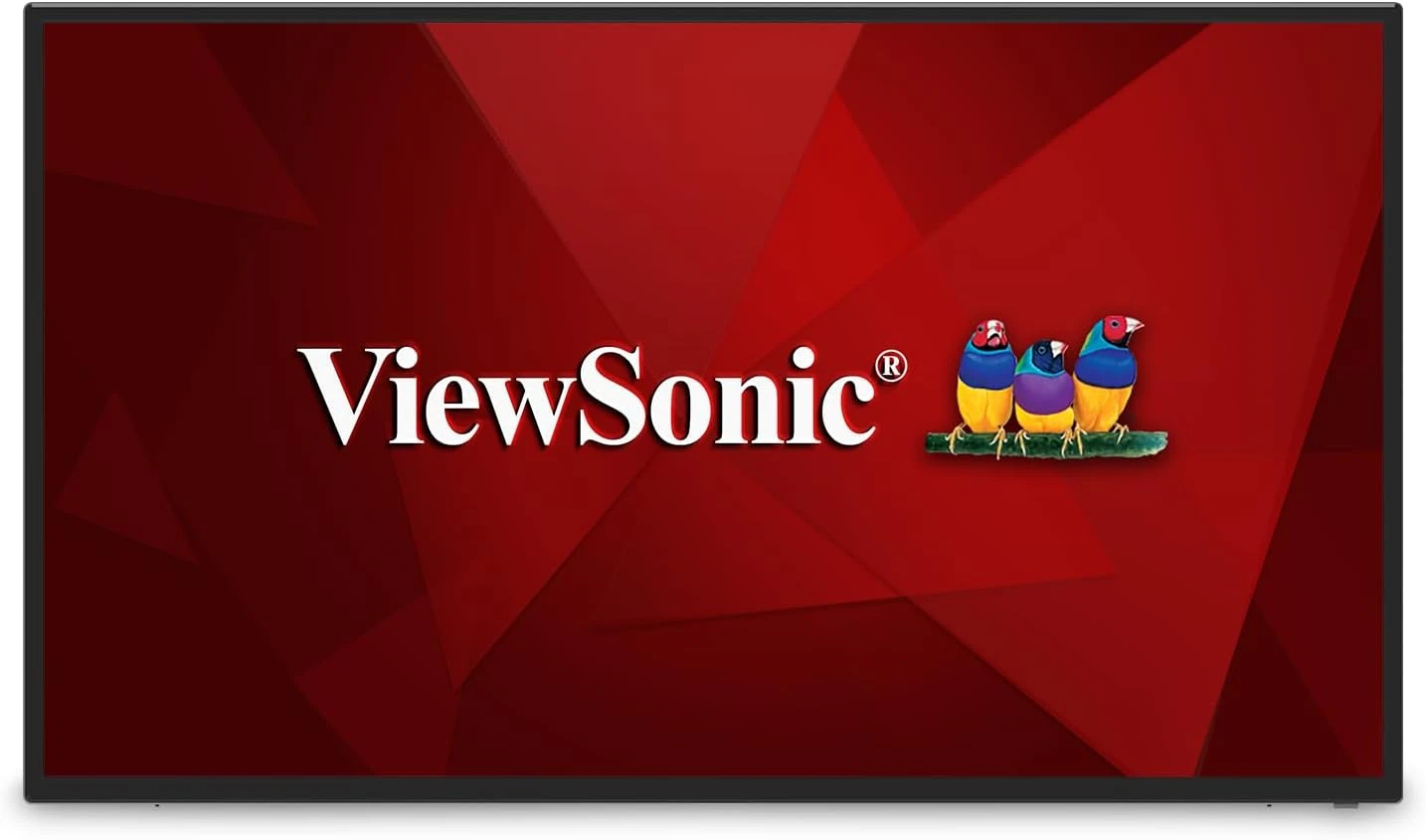 ViewSonic